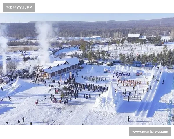 冰雪赛事的举办(冰雪赛事激情开启盛大举办全球运动狂欢万众瞩目同庆冬季盛事)