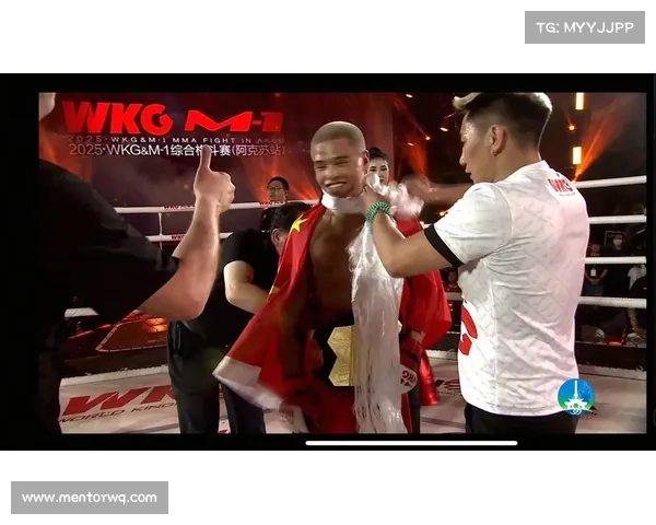 综合格斗赛事精彩大盘点哪个最值得观赏深度评测